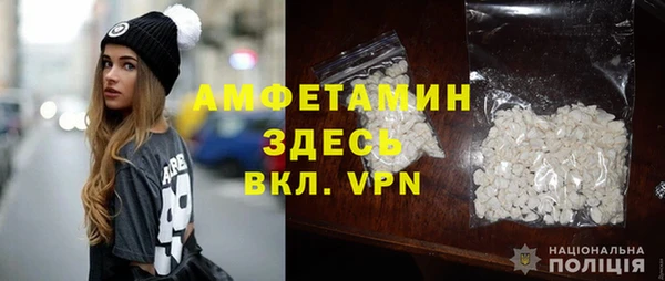 стаф Алзамай
