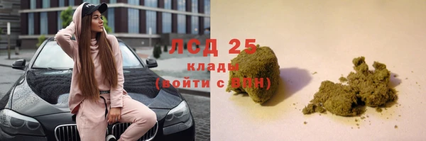 стаф Алзамай