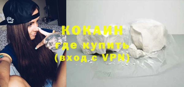 индика Лихославль