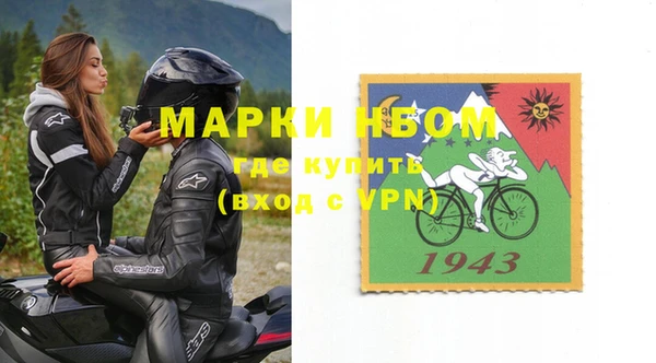 стаф Алзамай